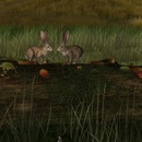 Thumb 542594f18da5727830000001