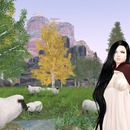 Thumb 5425c5d9f8a1ec6288000001