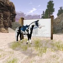 Thumb 543551c28da5722d74000001