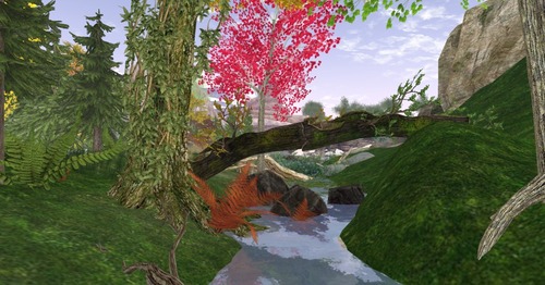 Web 542597dfa73e213f0d000001