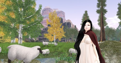 Web 5425c5d9f8a1ec6288000001