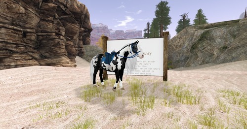 Web 543551c28da5722d74000001