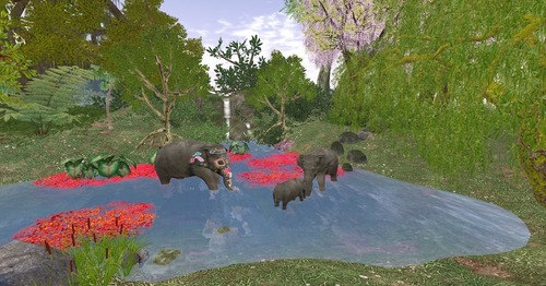 Web 54651868128cc91fbe000001