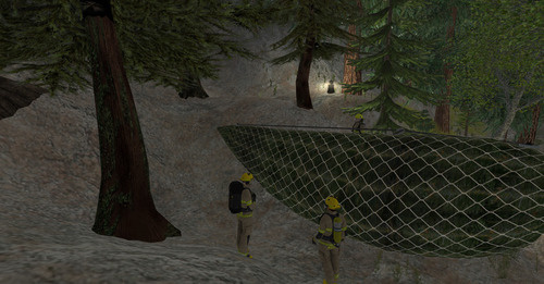 Web 655050780fc92a3952b8e00d