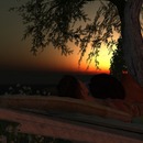 Thumb 5118af313a6986699a000001