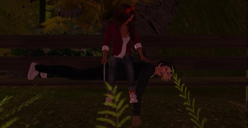 Web 511e09c4e4bb2c68a2000001