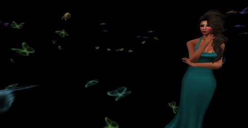 Web 514d2cc25e94164d60000001