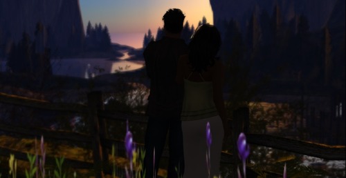 Web 517c67b8a273a37d6f000001