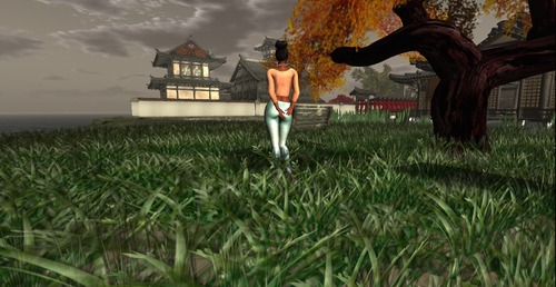 Web 5187442f75c8e83e65000001