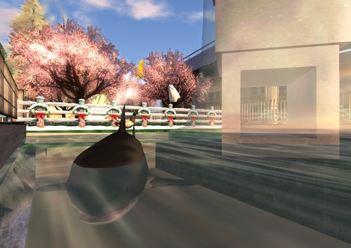 Web 51dc5449cea0622e79000001