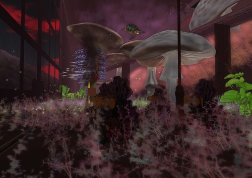 Web 520d1b68b4b5fe0c67000001