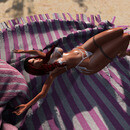 Thumb 6773521863ba0e601b20c66f