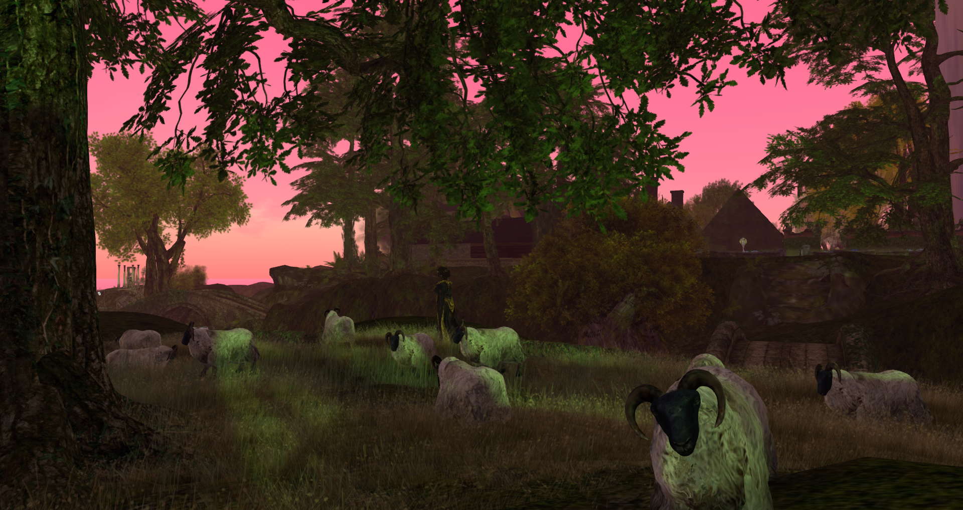 Original 57e17ee3f8a1ec741f000001