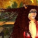 Thumb 526c5d03528a963e3d000001