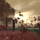 Thumb 526dec4b7cc9f12e62000001