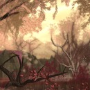 Thumb 526dec886c2328079c000001