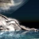 Thumb 52a624a806194d08d7000001