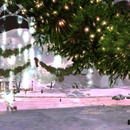 Thumb 52b76afb128cc90792000001