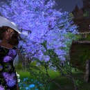 Thumb 5793b815e85cda7dd0000001