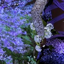 Thumb 5793b88eb015405bd1000001