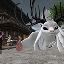 Thumb 57befc9df8a1ec0221000001