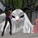 Thumb 57befd4ee85cda39d0000001