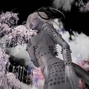 Thumb 5829b413e85cda47f7000001