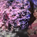 Thumb 5829b5cab713f709d6000001