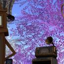 Thumb 5c96123cd9859c1f3f000001