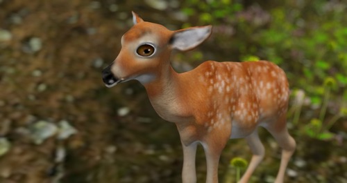 Web 5796915de85cda624e000001