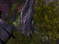 Small 64492d52a69bad1223902c1d