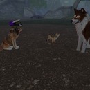 Thumb 55f1cb78a73e212c1b000001