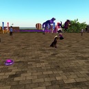 Thumb 58bcb66fb015400553000001