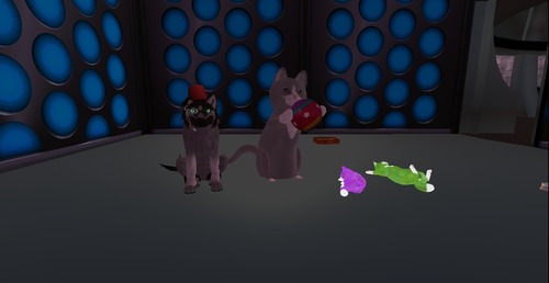 Web 515eee968834a029e6000001