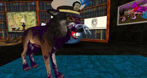 Web 58fe43ca289dd22581000001