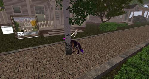 Web 596b7563289dd26524000001