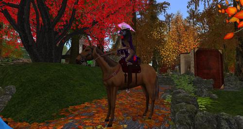 Web 596d1ffcd9859c4da8000001