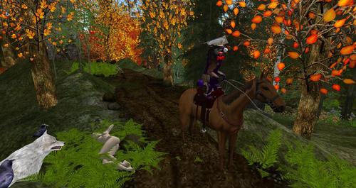 Web 596d2071289dd2286c000001