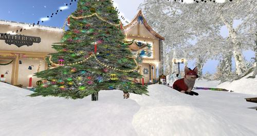 Web 5a2c3c03d774f837f5000001