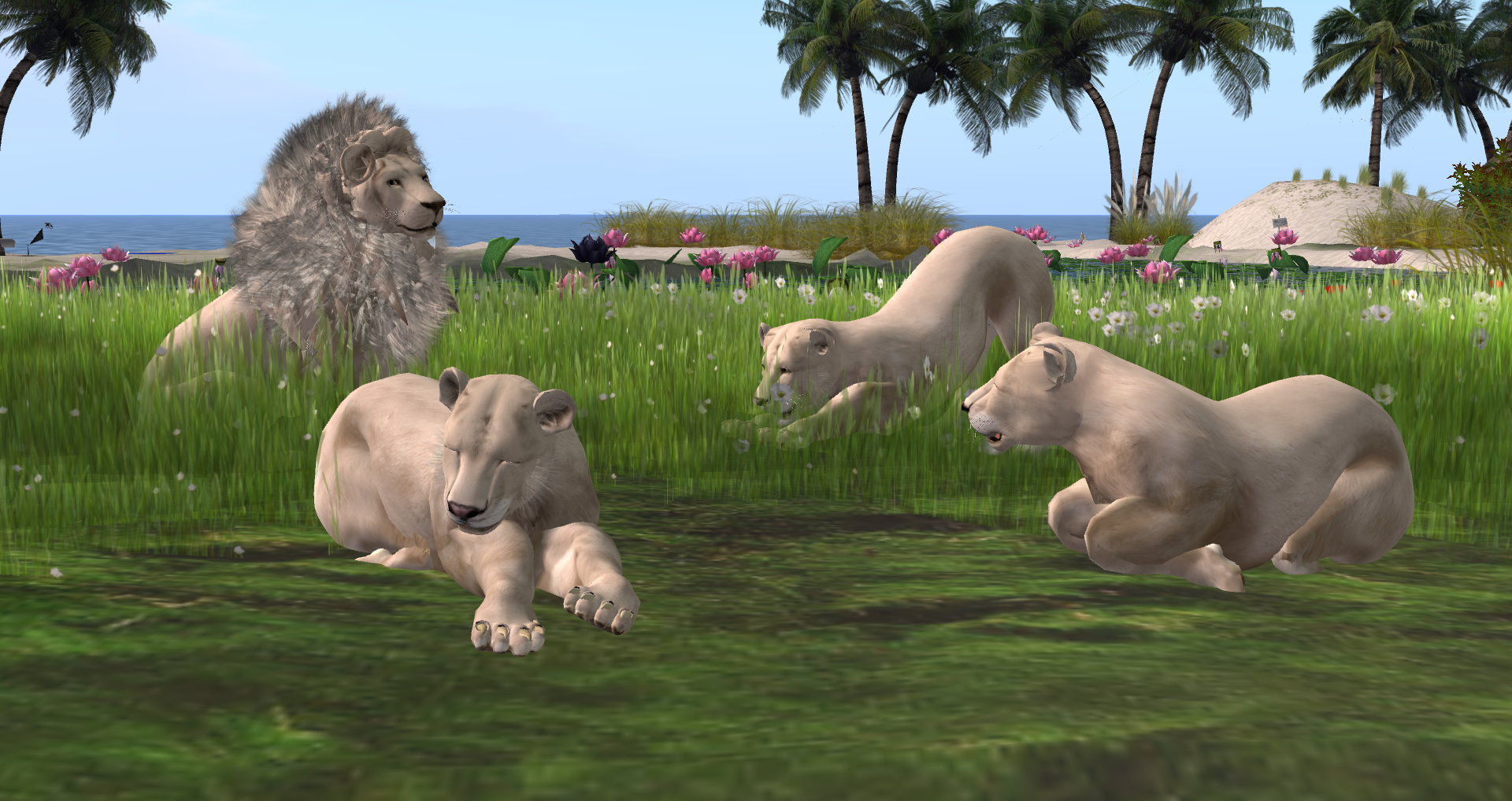 Original 540c81b9f8a1ec34e6000001