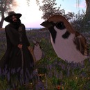 Thumb 524d5699ba48ab1c48000001