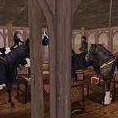 Thumb 524f61ee7869d3129d000001