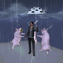 Thumb 52817b4c29d0af37e6000001