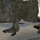 Thumb 52e05cc1f8a1ec549e000001