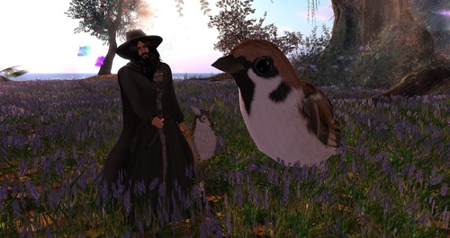 Web 524d5699ba48ab1c48000001