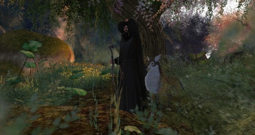 Web 524d603648bc732d04000001