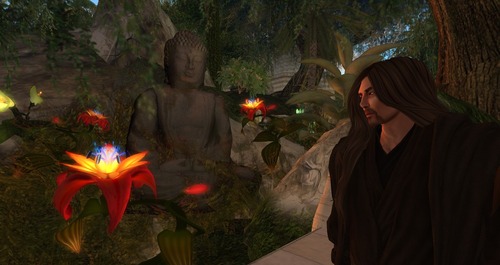 Web 536d25a0a73e2148fc000001