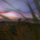 Thumb 52e7100bf8a1ec4431000001