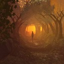 Thumb 52ee9fc3f8a1ec0795000001