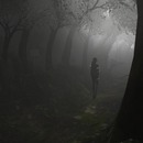 Thumb 52eea1ed128cc93c77000001